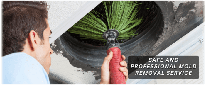 Air Duct Mold Removal in Naperville IL
