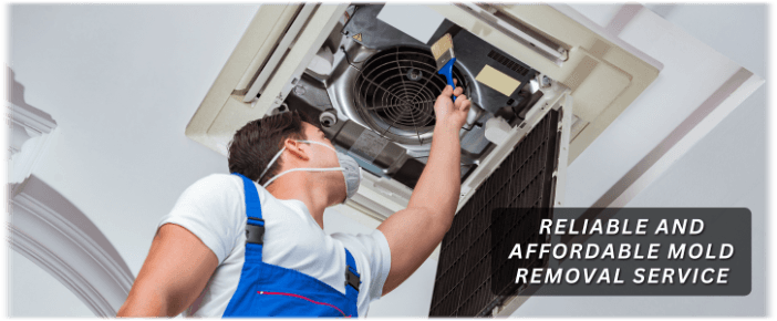 HVAC Mold Removal Naperville IL